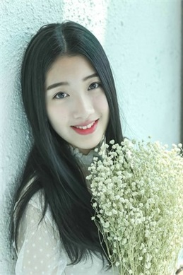 神奇宝贝剑盾动画片樱花动漫免费观看-查询与处理建议