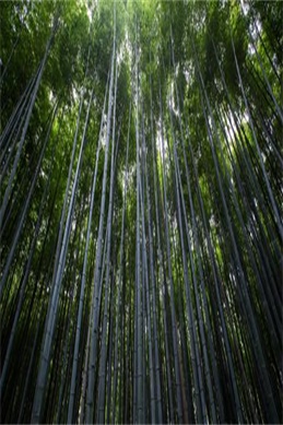 女生喊疼男生越往里寨的稿本视-常见问题说明